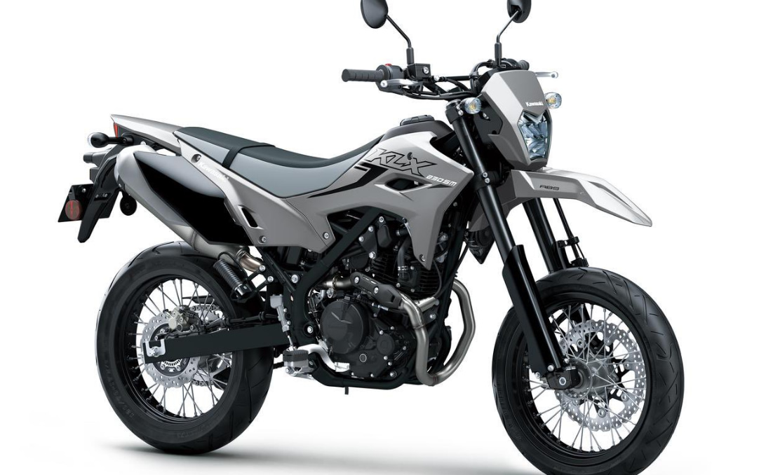 Kawasaki 230 S going to launch this month